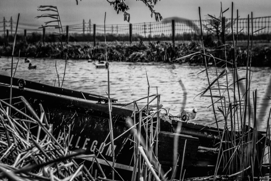 2019 jan - Onderwerp: "De Hillegomse polders"  Fotograaf: Nico Kors. Titel van foto: "Bootje tussen het riet van de Singel"